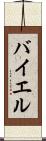 バイエル Scroll