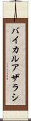 バイカルアザラシ Scroll