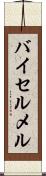 バイセルメル Scroll
