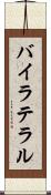 バイラテラル Scroll