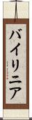 バイリニア Scroll