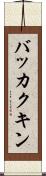 バッカクキン Scroll