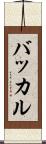 バッカル Scroll