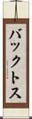 バックトス Scroll