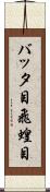 バッタ目 Scroll