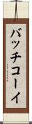バッチコーイ Scroll
