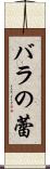 バラの蕾 Scroll