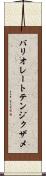 バリオレートテンジクザメ Scroll