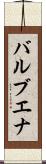 バルブエナ Scroll