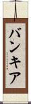 バンキア Scroll
