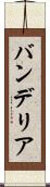 バンデリア Scroll