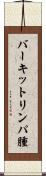 バーキットリンパ腫 Scroll