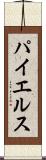 パイエルス Scroll