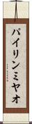 パイリンミヤオ Scroll