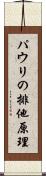 パウリの排他原理 Scroll