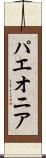 パエオニア Scroll