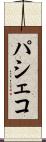 パシェコ Scroll