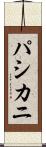 パシカニ Scroll