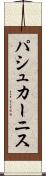 パシュカーニス Scroll