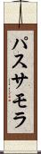 パスサモラ Scroll