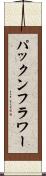 パックンフラワー Scroll