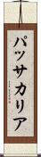 パッサカリア Scroll