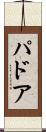 パドア Scroll