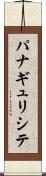 パナギュリシテ Scroll
