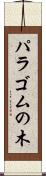 パラゴムの木 Scroll