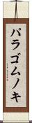 パラゴムノキ Scroll