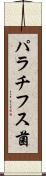 パラチフス菌 Scroll