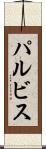パルビス Scroll