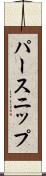 パースニップ Scroll