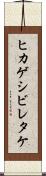 ヒカゲシビレタケ Scroll