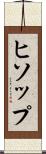 ヒソップ Scroll