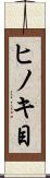 ヒノキ目 Scroll