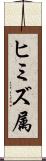 ヒミズ属 Scroll