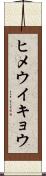 ヒメウイキョウ Scroll