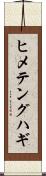 ヒメテングハギ Scroll