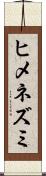 ヒメネズミ Scroll