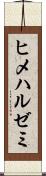 ヒメハルゼミ Scroll
