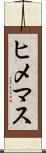 ヒメマス Scroll