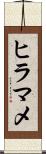 ヒラマメ Scroll