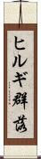ヒルギ群落 Scroll