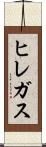 ヒレガス Scroll