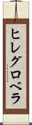 ヒレグロベラ Scroll