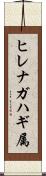 ヒレナガハギ属 Scroll