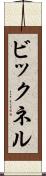 ビックネル Scroll