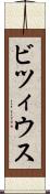 ビツィウス Scroll