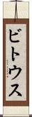 ビトウス Scroll